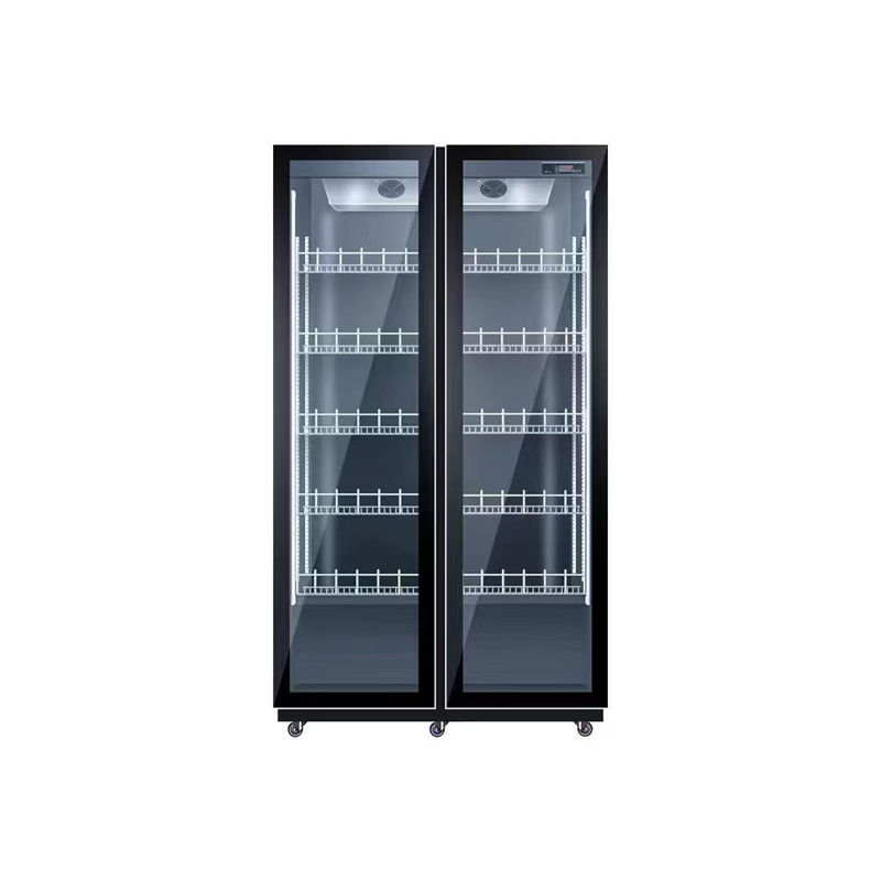 Double Door Air Cooling Refrig - Wine Beer Dual Zone avis et prix