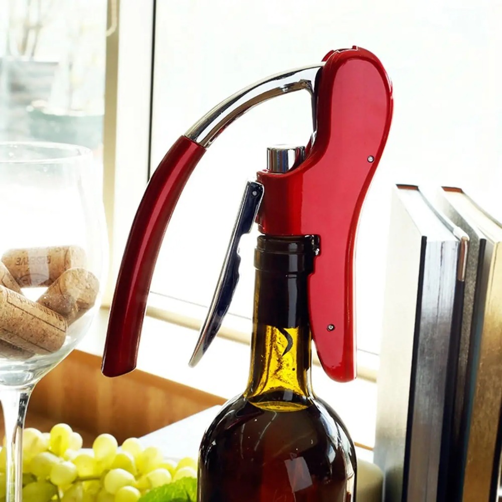 Professional Stainless Steel W - Wine In Beer Bottle avis et prix