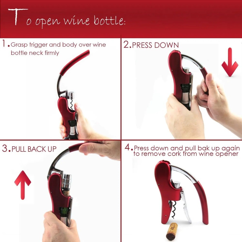 Professional Stainless Steel W - Wine In Beer Bottle avis et prix