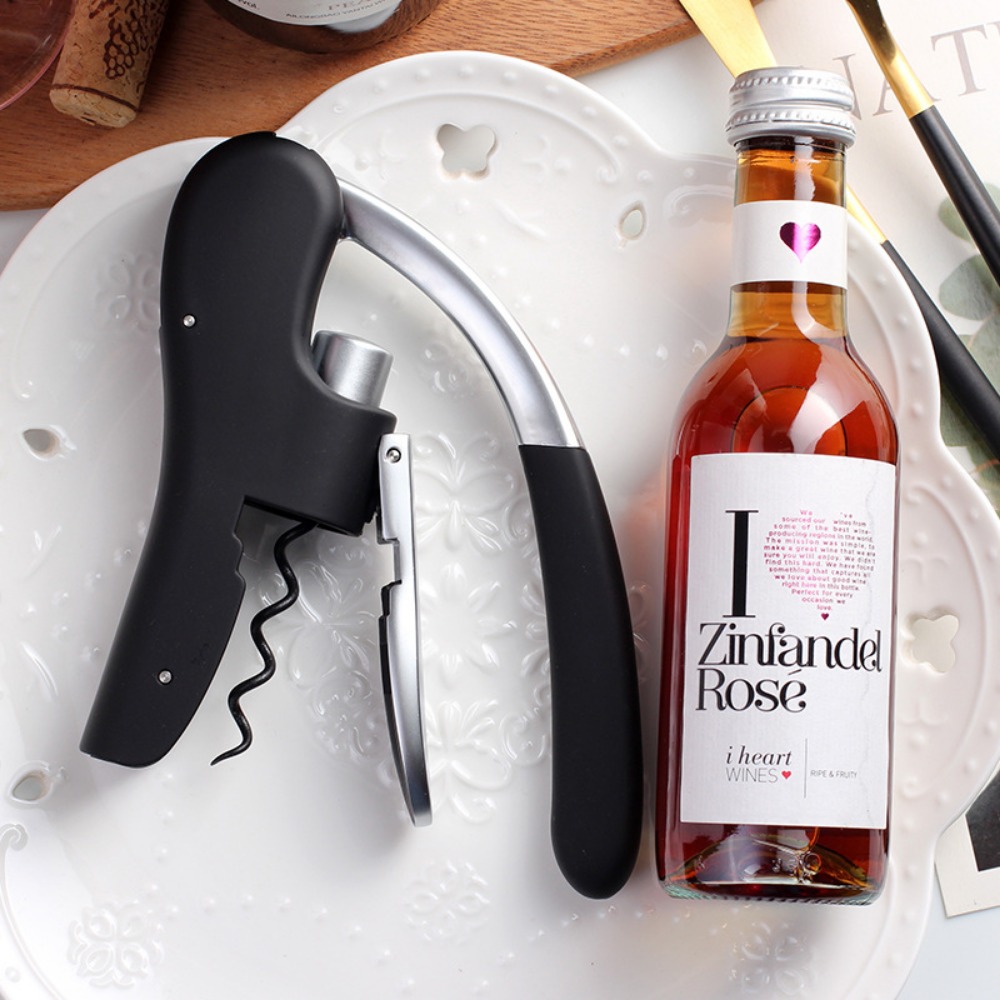 Professional Stainless Steel W - Wine In Beer Bottle avis et prix